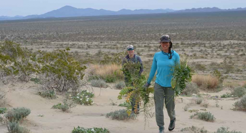 veterans work on a service project during an outward bound veterans course 